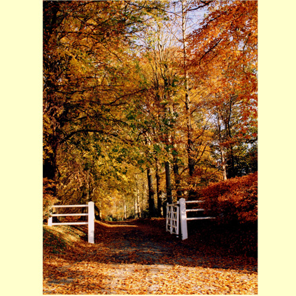 Guist Hall Gateway